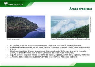 • As regiões tropicais, encontram-se entre os trópicos e próximas à linha do Equador .
• Apresenta climas quentes, muito deles úmidos. O verão é quente e úmido, com o inverno frio
e seco.
• Os climas quentes e úmidos favorecem o desenvolvimento de formas animais e vegetais.
Assim, as áreas tropicais tÊm a maior variedade de seres vivos do mundo.
• Alguns gêneros tropicais típicos são cana-de-açúcar, algodão, arroz, café, algodão, mandioca.
• A maioria dos países ditos subdesenvolvidos encontram-se nas áreas tropicais.
Região amazônica. Parque Nacional de Umucumaque, na floresta amazônica.
AntonioMilena/EditoraAbril
PedroMartinelli/EditoraAbril
Áreas tropicaisÁreas tropicais
 