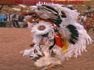 A RED INDIAN IN HIS DANCE DRESS
 