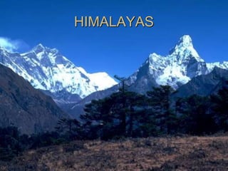 HIMALAYAS
 
