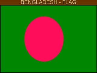 BENGLADESH - FLAG
 