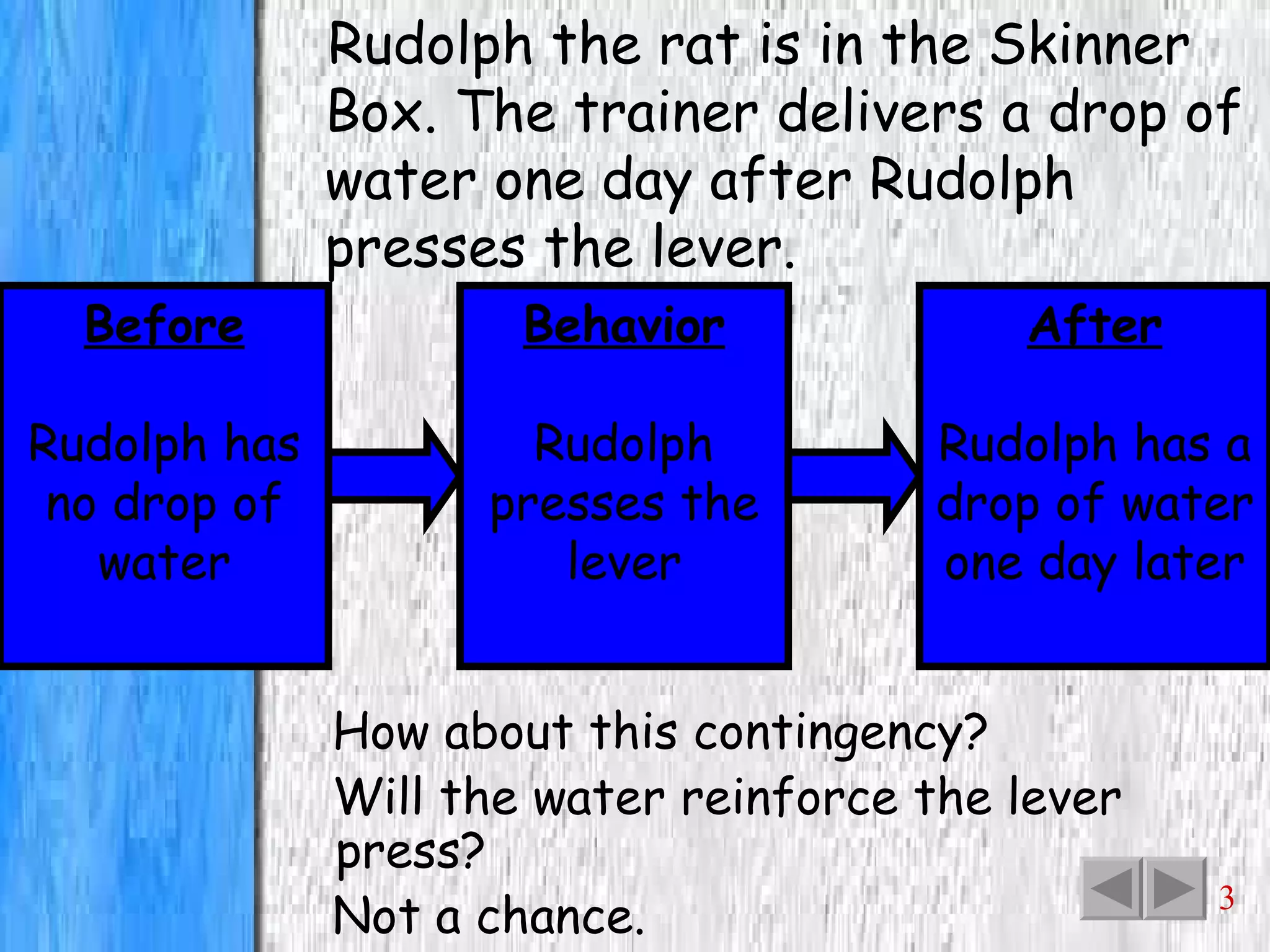 Rudolph the rat is in the Skinner Box. The trainer delivers a drop of water one day after Rudolph presses the lever. Before Rudolph has no drop of water How about this contingency? Will the water reinforce the lever press? Not a chance. Behavior Rudolph presses the lever After Rudolph has a drop of water one day later 