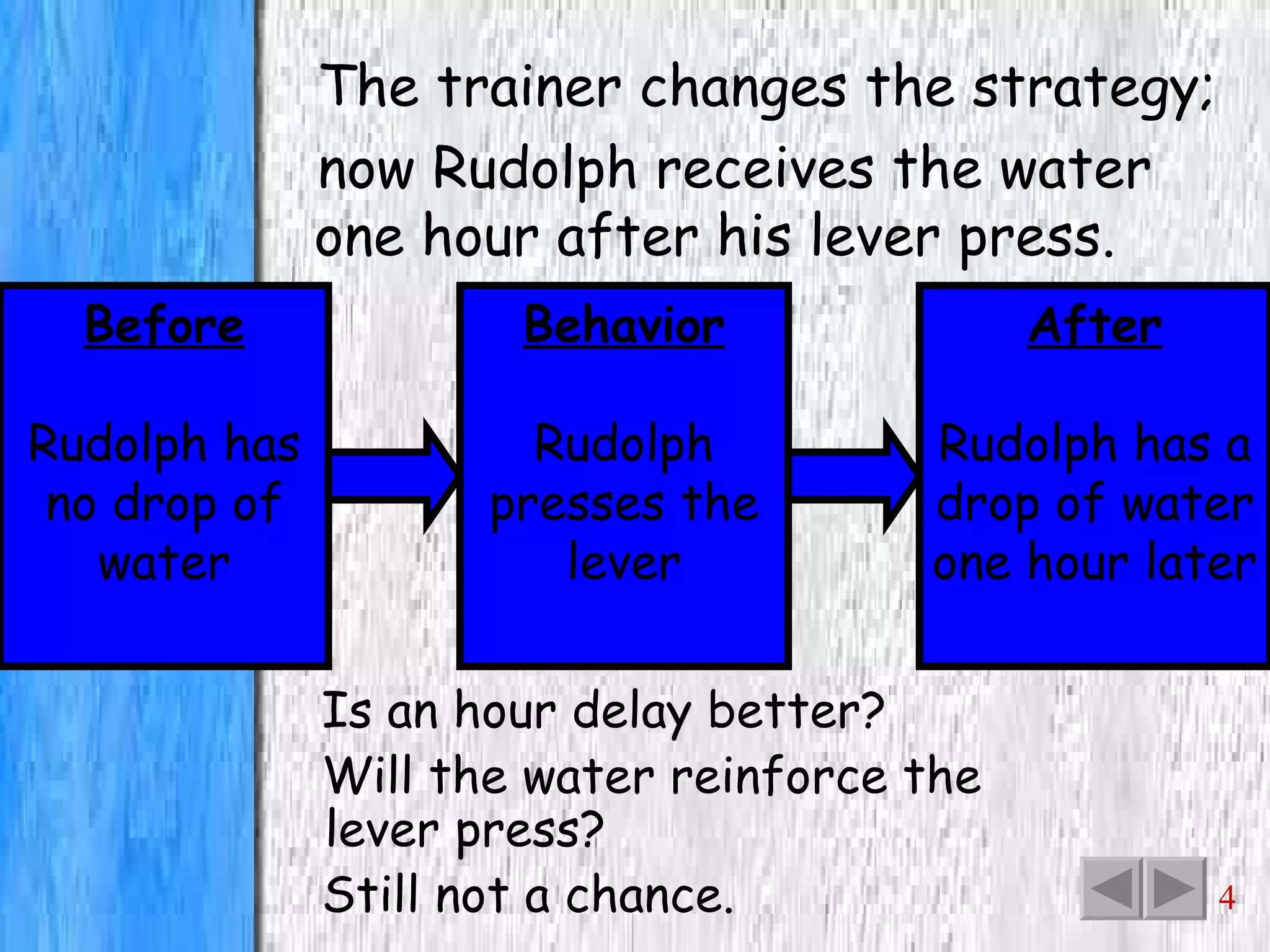 The trainer changes the strategy; now Rudolph receives the water one hour after his lever press. Before Rudolph has no drop of water Is an hour delay better? Will the water reinforce the lever press? Still not a chance. Behavior Rudolph presses the lever After Rudolph has a drop of water one hour later 