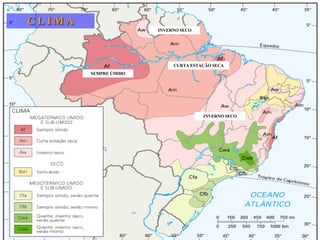 C L I M A SEMPRE ÚMIDO INVERNO SECO CURTA ESTAÇÃO SECA INVERNO SECO 