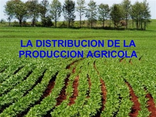 LA DISTRIBUCION DE LA PRODUCCION AGRICOLA 