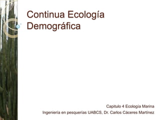 Continua Ecología Demográfica Capitulo 4 Ecología Marina  Ingeniería en pesquerías UABCS, Dr. Carlos Cáceres Martínez 