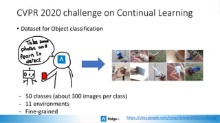 CVPR 2020 challenge on Continual Learning
• Dataset for Object classification
- 50 classes (about 300 images per class)
- 11 environments
- Fine-grained
https://sites.google.com/view/clvision2020/challenge
 