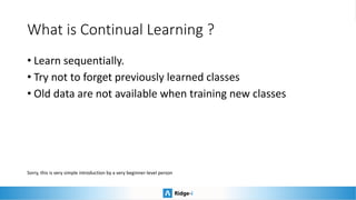What is Continual Learning ?
• Learn sequentially.
• Try not to forget previously learned classes
• Old data are not available when training new classes
Sorry, this is very simple introduction by a very beginner-level person
 