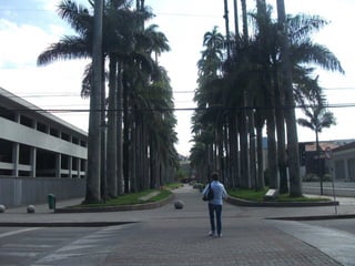 Continuação   beatriz