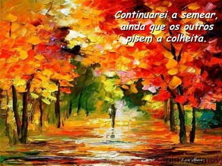 Continuarei a semear, ainda que os outros pisem a colheita. 