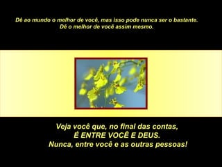 Dê ao mundo o melhor de você, mas isso pode nunca ser o bastante.
Dê o melhor de você assim mesmo.
Veja você que, no final das contas,
É ENTRE VOCÊ E DEUS.
Nunca, entre você e as outras pessoas!
 
