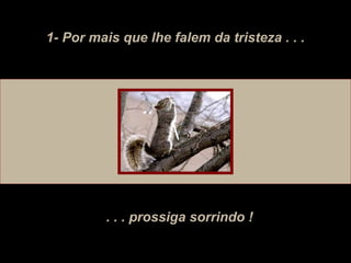 1- Por mais que lhe falem da tristeza . . .
. . . prossiga sorrindo !
 
