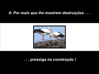 8- Por mais que lhe mostrem destruições . . .
. . . prossiga na construção !
 