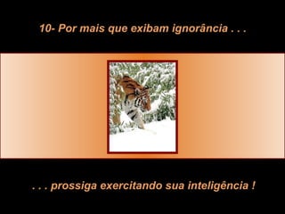 10- Por mais que exibam ignorância . . . . . . prossiga exercitando sua inteligência ! 