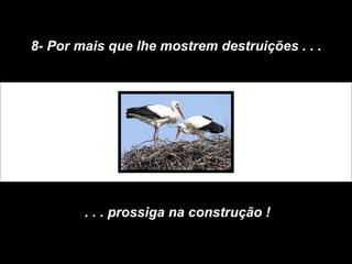 8- Por mais que lhe mostrem destruições . . . . . . prossiga na construção ! 