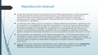 Reproducción bisexual
 La reproducción bisexual es la producción de descendencia formada por la unión de gametos
de dos progenitores genéticamente diferentes que son de diferentes sexos (femenino o
masculino). Cada uno proporciona sus gametos o células reproductoras, producidas
previamente por meiosis. Cada gameto o célula reproductora contiene un solo juego de
cromosomas, es haploide(n).
 La distinción entre ambos sexos no se basa en cualquier diferencia de tamaño o apariencia, sino,
en el tamaño y la movilidad de los gametos que producen. El óvulo (o huevo) es producido por
la hembra y son generalmente grandes, en comparación con el tamaño del gameto masculino.
Los espermatozoides son pequeños en comparación con el gameto femenino, móviles y en
general, son producidos en grandes cantidades. Son como pequeños “paquetes” de material
genético altamente condensado diseñados con el único propósito: alcanzar y fecundar un óvulo.
 Ambos gametos son generados en los órganos reproductores, y se fusionan para producir una
sola célula, el cigoto, también llamado huevo fecundado. El cigoto, por lo tanto, contiene dos
conjuntos de cromosomas, uno de cada progenitor. En los organismos multicelulares, a partir de
esa única célula, el cigoto, se desarrollará el organismo completo durante el desarrollo
embrionario.
 Cabe aclarar que los organismos que presentan sexos separados, se definen como organismos
dioicos. Los gametos masculinos y femeninos se encuentran en individuos separados. Casi
todos los vertebrados presentan sexos separados, es decir, son dioicos.
 