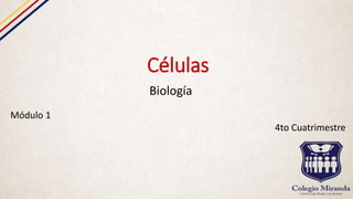 Células
Biología
Módulo 1
4to Cuatrimestre
 