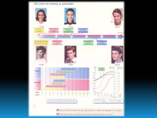 Continuidade Da Vida