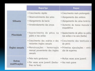 Continuidade Da Vida