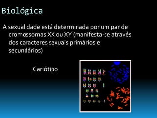 Continuidade Da Vida