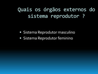 Continuidade Da Vida