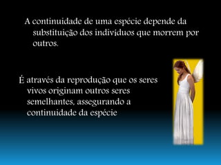 Continuidade Da Vida