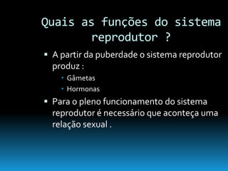 Continuidade Da Vida