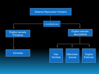 Continuidade Da Vida