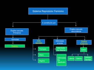 Continuidade Da Vida