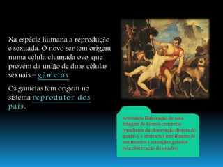 Continuidade Da Vida