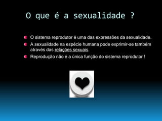 Continuidade Da Vida