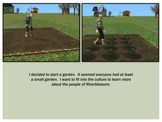 I decided to start a garden. It seemed everyone had at least
a small garden. I want to fit into the culture to learn more
about the people of Riverblossom.
 
