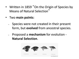 • Written in 1859 “On the Origin of Species by
Means of Natural Selection”
• Two main points:
– Species were not created in their present
form, but evolved from ancestral species.
– Proposed a mechanism for evolution -
Natural Selection.
www.huffingtonpost.com
 