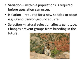 • Variation – within a populations is required
before speciation can occur.
• Isolation – required for a new species to occur
e.g. Grand Canyon ground squirrel.
• Selection – natural selection affects genotype.
Changes prevent groups from breeding in the
future.
www.wunderground.com
 