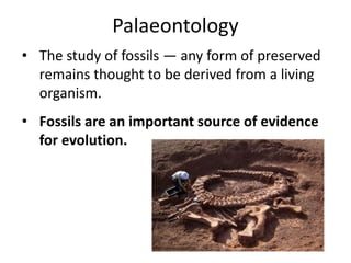 Palaeontology
• The study of fossils — any form of preserved
remains thought to be derived from a living
organism.
• Fossils are an important source of evidence
for evolution.
observationdeck.kinja.com
 