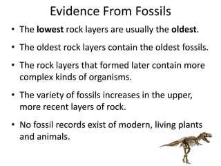 Evidence From Fossils
• The lowest rock layers are usually the oldest.
• The oldest rock layers contain the oldest fossils.
• The rock layers that formed later contain more
complex kinds of organisms.
• The variety of fossils increases in the upper,
more recent layers of rock.
• No fossil records exist of modern, living plants
and animals.
 
