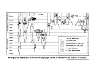 http://www.detectingdesign.com/fossilrecord.html
 