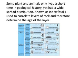 Some plant and animals only lived a short
time in geological history, yet had a wide
spread distribution. Known as index fossils –
used to correlate layers of rock and therefore
determine the age of the layer.
 