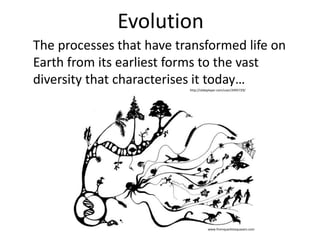 The processes that have transformed life on
Earth from its earliest forms to the vast
diversity that characterises it today…
Evolution
www.fromquarkstoquasars.com
http://slideplayer.com/user/2995729/
 