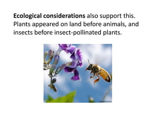 Ecological considerations also support this.
Plants appeared on land before animals, and
insects before insect-pollinated plants.
tx.english-ch.com
 