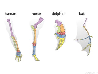 www.philpoteducation.com
 