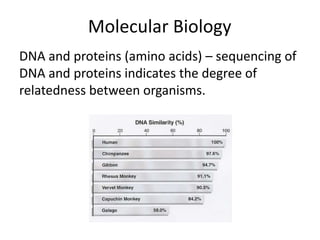 Molecular Biology
DNA and proteins (amino acids) – sequencing of
DNA and proteins indicates the degree of
relatedness between organisms.
 