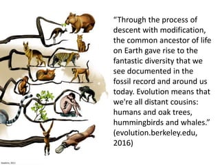 Dawkins, 2011
“Through the process of
descent with modification,
the common ancestor of life
on Earth gave rise to the
fantastic diversity that we
see documented in the
fossil record and around us
today. Evolution means that
we're all distant cousins:
humans and oak trees,
hummingbirds and whales.”
(evolution.berkeley.edu,
2016)
 