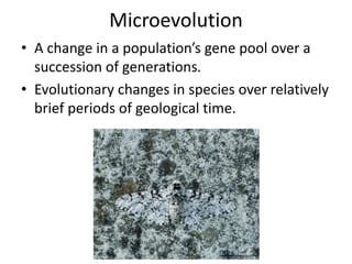 Microevolution
• A change in a population’s gene pool over a
succession of generations.
• Evolutionary changes in species over relatively
brief periods of geological time.
www.nydailynews.com
 