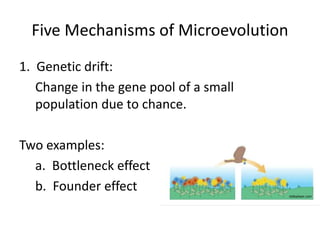 Five Mechanisms of Microevolution
1. Genetic drift:
Change in the gene pool of a small
population due to chance.
Two examples:
a. Bottleneck effect
b. Founder effect slideplayer.com
 