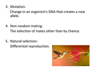 3. Mutation:
Change in an organism’s DNA that creates a new
allele.
4. Non-random mating:
The selection of mates other than by chance.
5. Natural selection:
Differential reproduction.
www.audubon.org
 