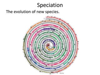 Speciation
The evolution of new species.
phys.org
 