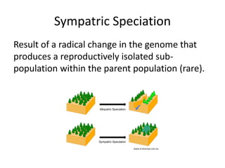 Sympatric Speciation
Result of a radical change in the genome that
produces a reproductively isolated sub-
population within the parent population (rare).
www.ib.bioninja.com.au
 