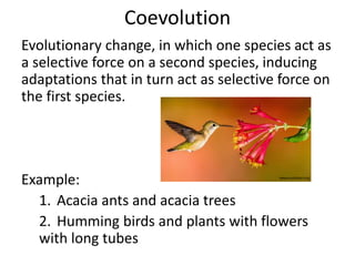 Coevolution
Evolutionary change, in which one species act as
a selective force on a second species, inducing
adaptations that in turn act as selective force on
the first species.
Example:
1. Acacia ants and acacia trees
2. Humming birds and plants with flowers
with long tubes
www.audubon.org
 