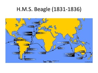 H.M.S. Beagle (1831-1836)
en.wikipedia.org
 