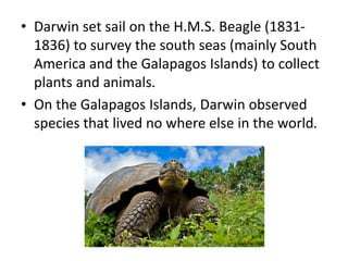 • Darwin set sail on the H.M.S. Beagle (1831-
1836) to survey the south seas (mainly South
America and the Galapagos Islands) to collect
plants and animals.
• On the Galapagos Islands, Darwin observed
species that lived no where else in the world.
www.bbc.co.uk
 